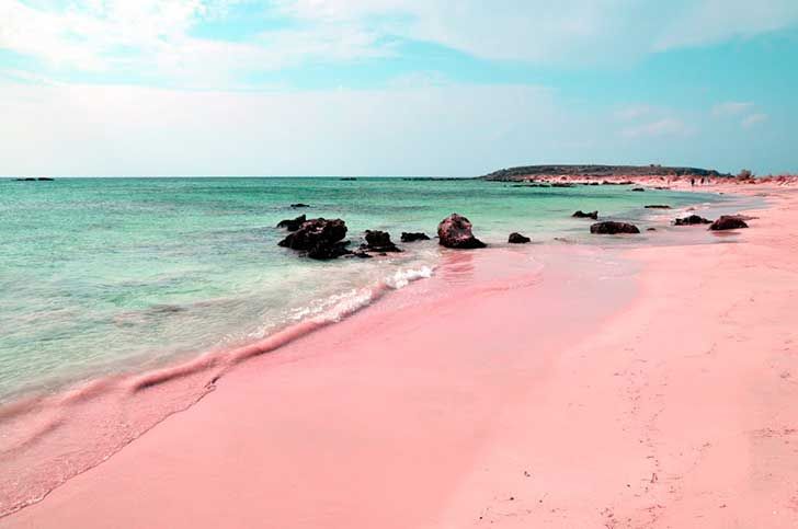bahamas-Totto